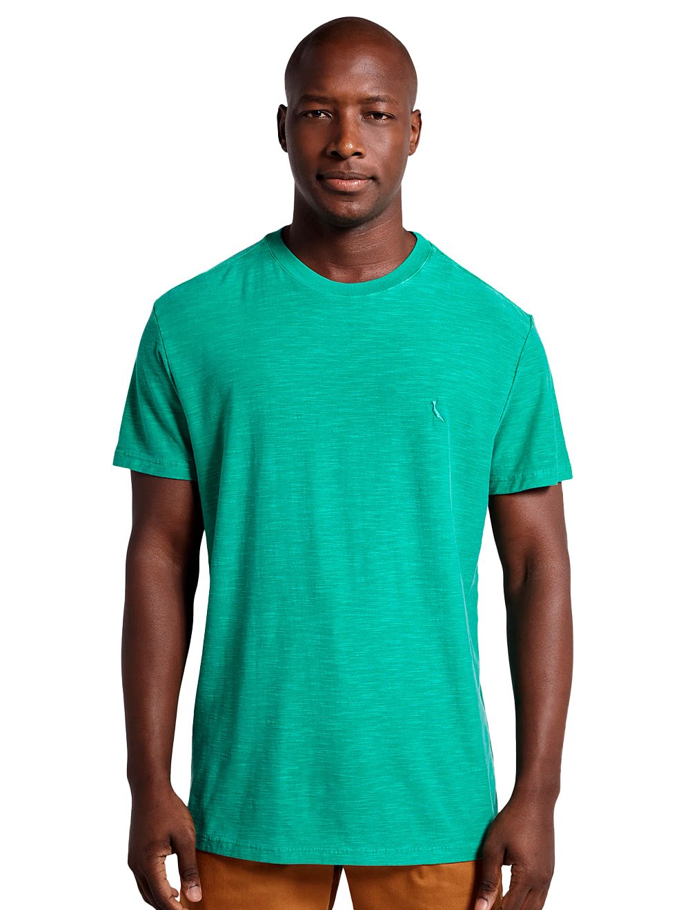 Camiseta Reserva Masculina Flamê Stone Verde Bandeira