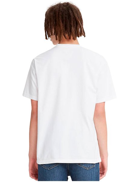 Camiseta Levis Masculina Regular Landscape Coordinates Branca