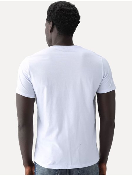 Camiseta Ellus Masculina Cotton Fine Originals Co. Script Branca