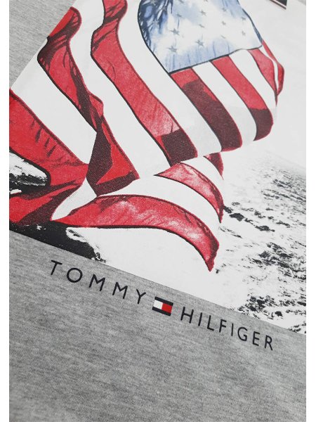 Camiseta Tommy Hilfiger Masculina Flag Photo Cinza Mescla