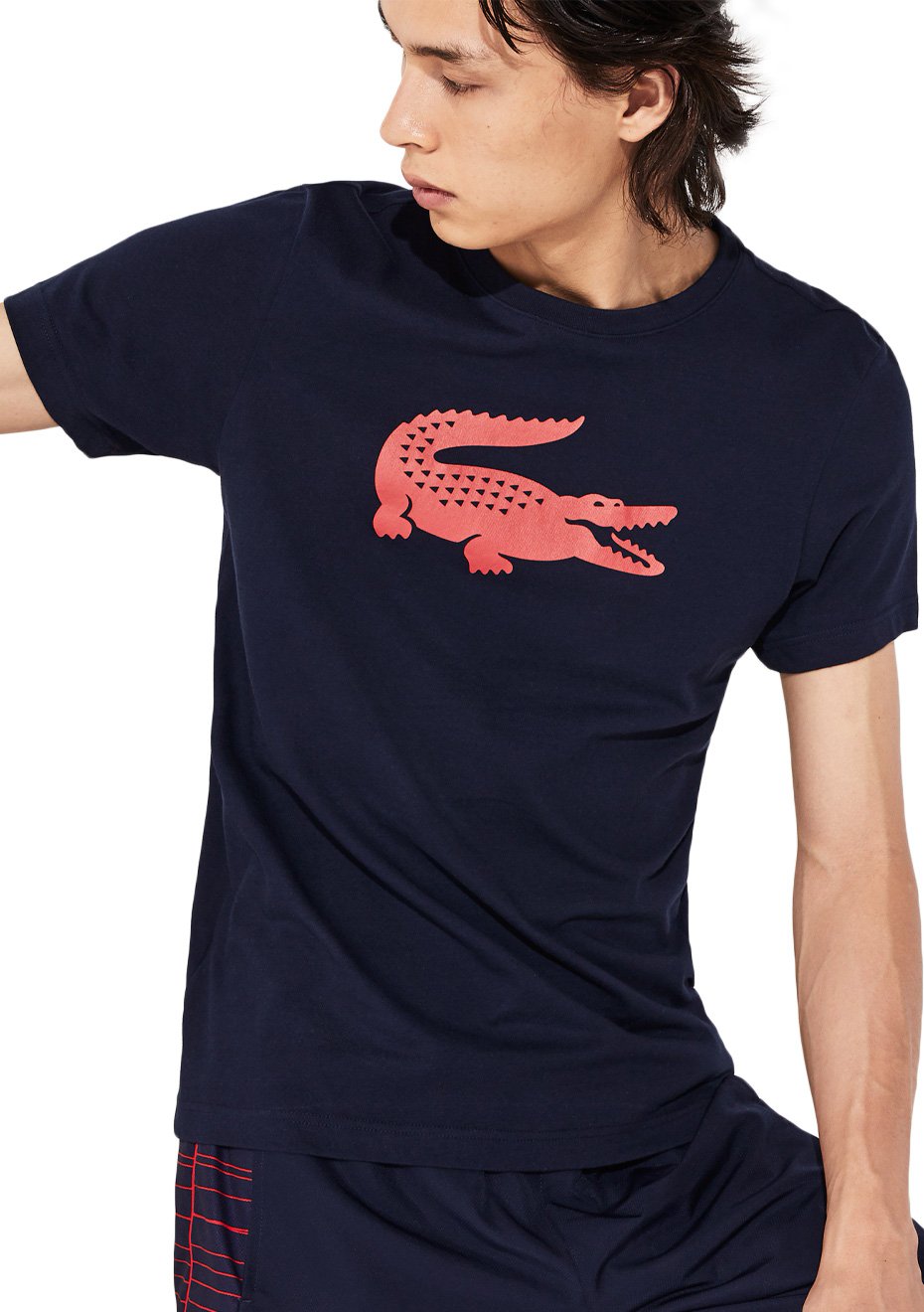blusa big lacoste