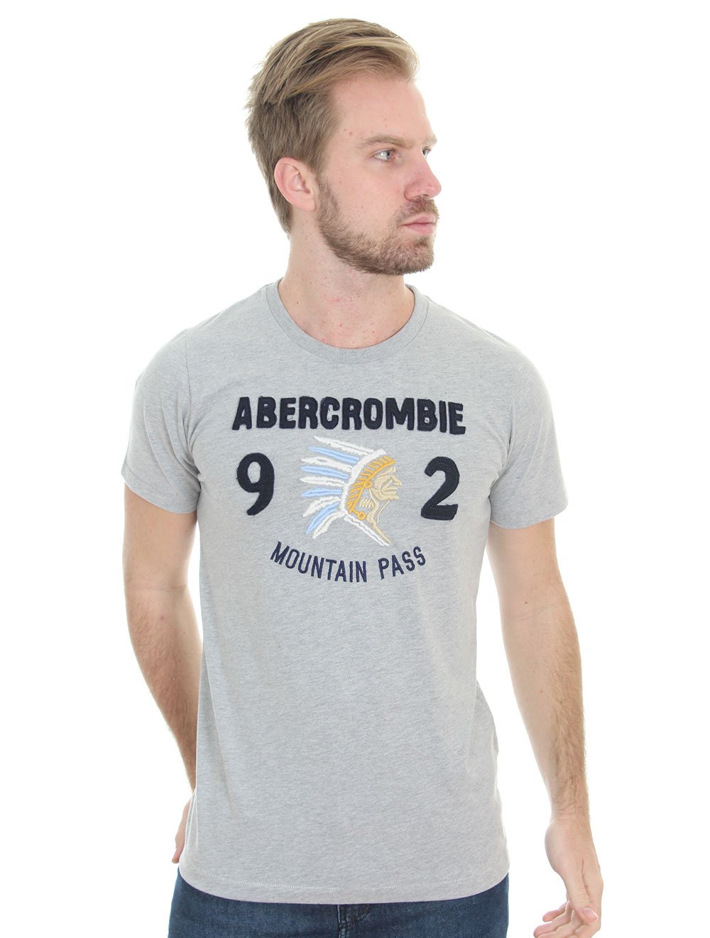 Camiseta Abercrombie Masculina 92 Indian Mountain Pass Cinza Mescla