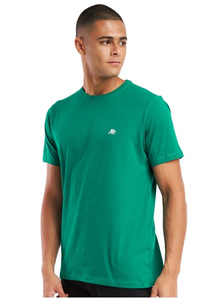 Camiseta Aeropostale Embroidered Light Logo A87 Verde Escuro