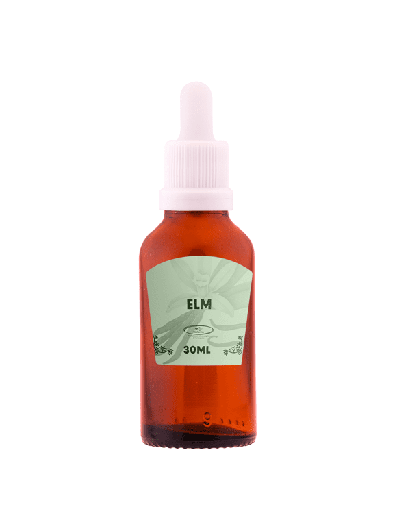 elm