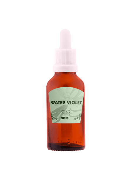 Water Violet 