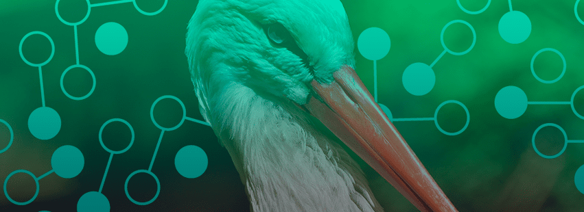 Agência Stork